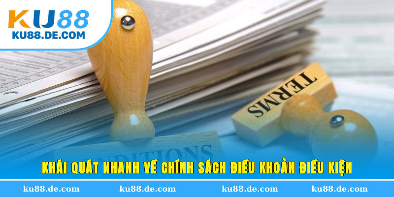 Khái quát nhanh về chính sách điều khoản điều kiện 